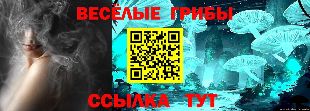 Псилоцибиновые грибы GOLDEN TEACHER Новочебоксарск